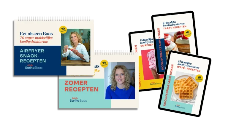 Fysiek snackboek + taartjesboek plus zomerboek + ijsjesboek en wafelboek